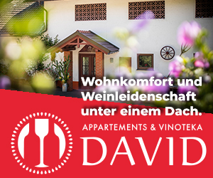 appartment david